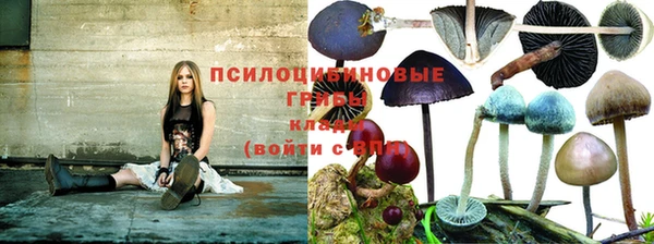 марихуана Алексеевка